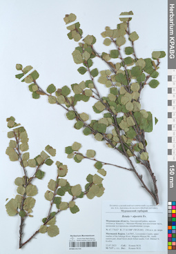 KPABG051724