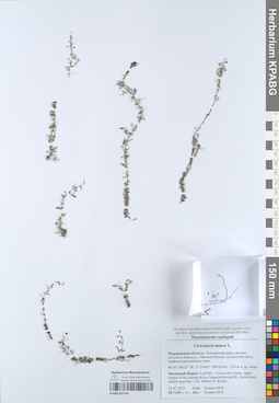 KPABG051728
