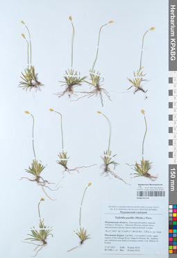 KPABG051744