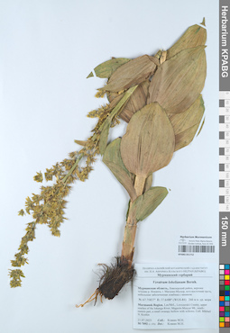 KPABG051752