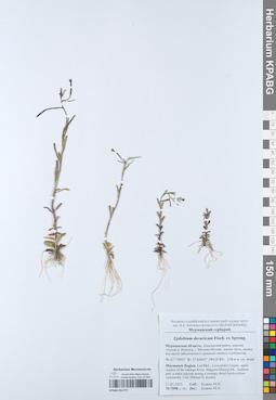 KPABG051777