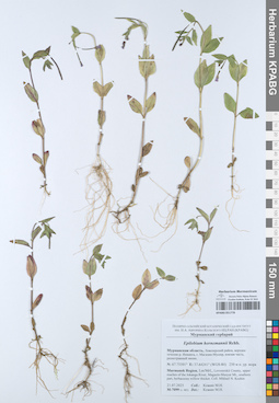 KPABG051778