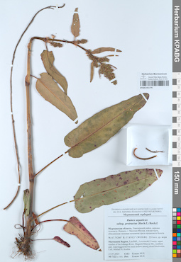 KPABG051779