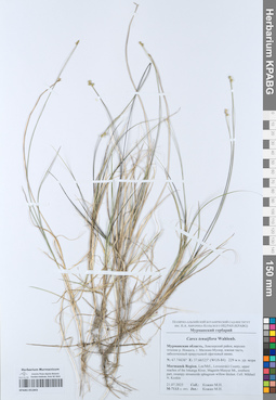 KPABG051843