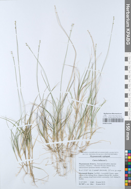 KPABG051848