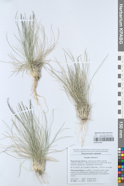 KPABG051887