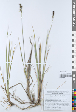 KPABG052804