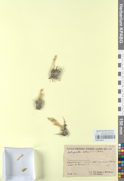 KPABG050323