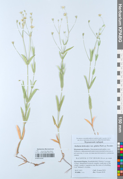 KPABG051997