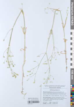 KPABG052012