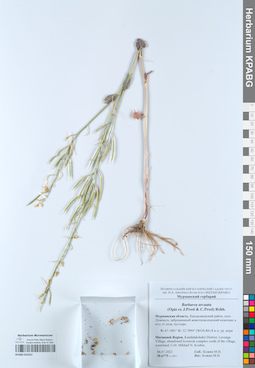 KPABG052022