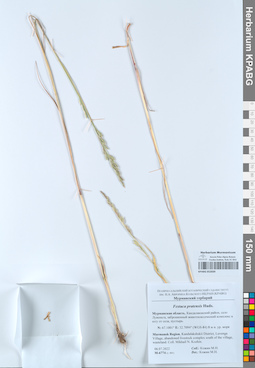 KPABG052039