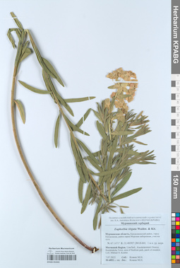 KPABG052043
