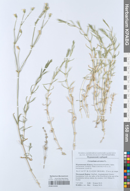 KPABG052050