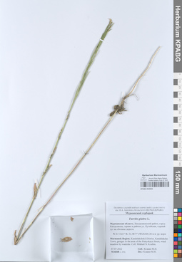 KPABG052055