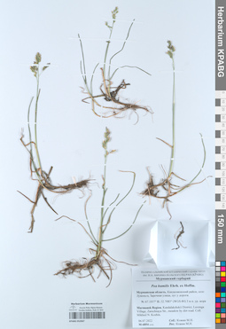 KPABG052067