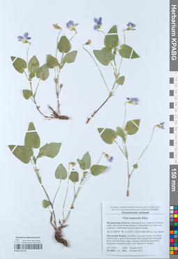 KPABG052198
