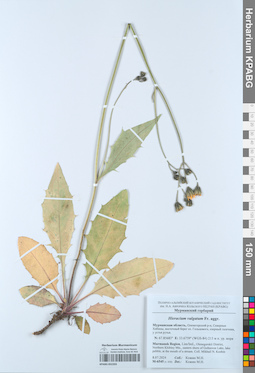 KPABG052203
