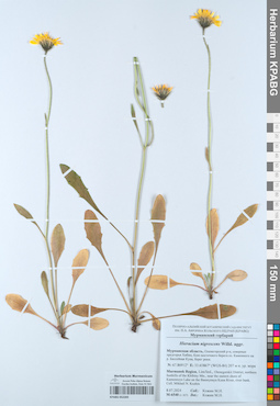 KPABG052205