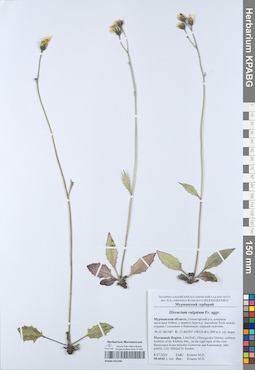 KPABG052206