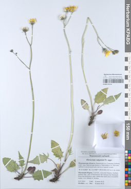 KPABG052216
