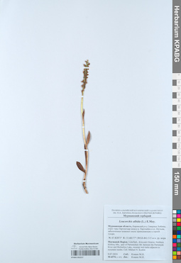 KPABG052217