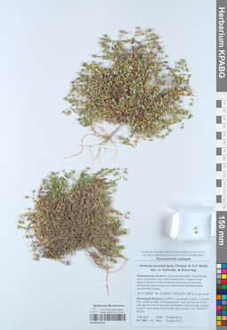 KPABG052237