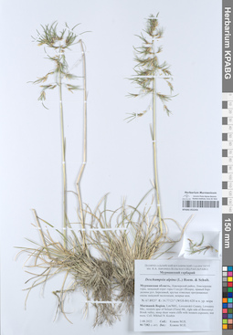 KPABG052243