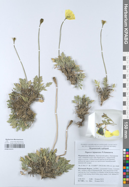 KPABG052272
