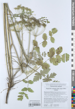 KPABG052385