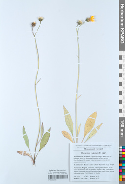 KPABG052388
