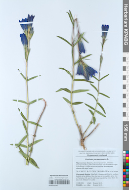 KPABG052395