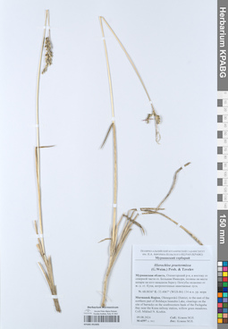 KPABG052405