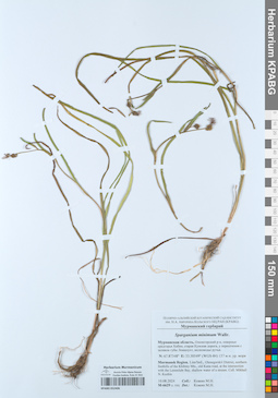 KPABG052406