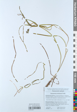 KPABG052407