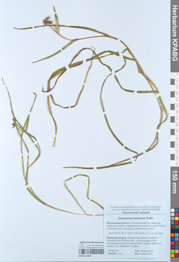 KPABG052408