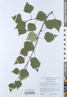 KPABG052413