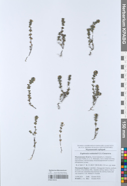 KPABG052416