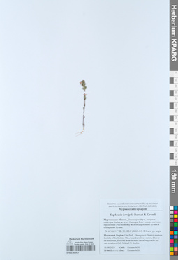 KPABG052417