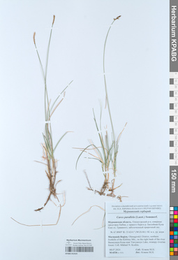 KPABG052424