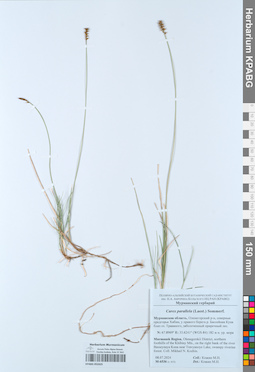 KPABG052425