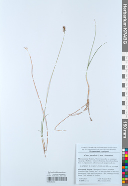 KPABG052426