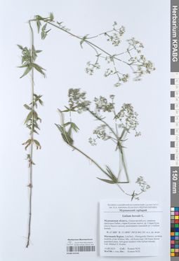 KPABG052428