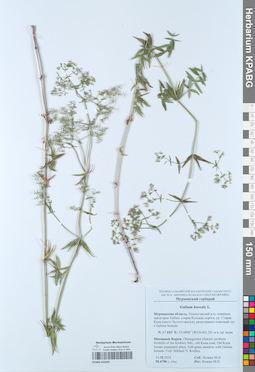 KPABG052429