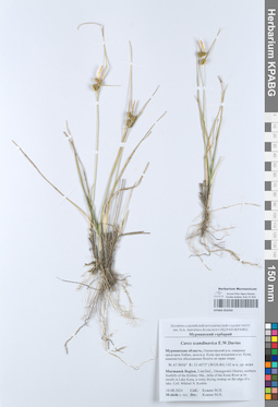 KPABG052433