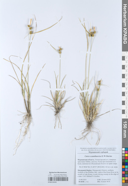 KPABG052435