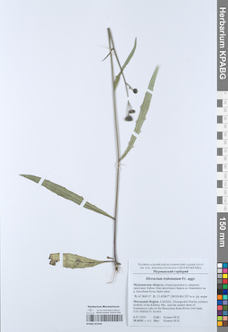 KPABG052444
