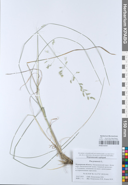 KPABG052454