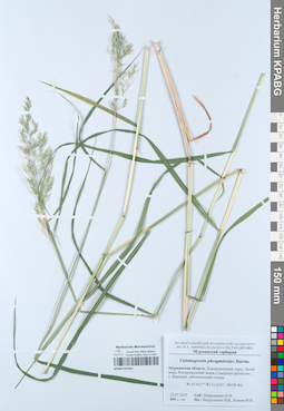 KPABG052455