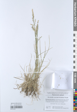 KPABG052459